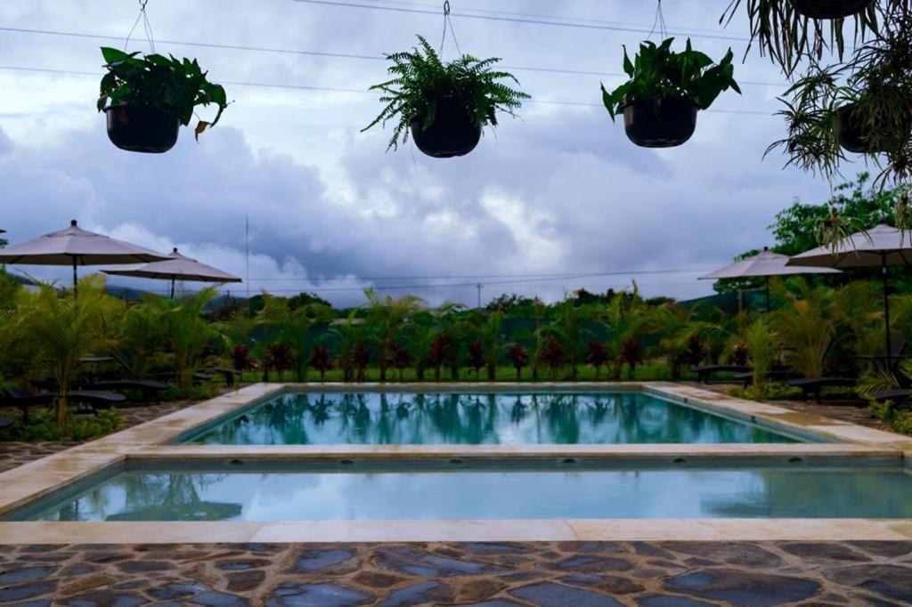Jardin De Estrellas Compostela Exterior foto